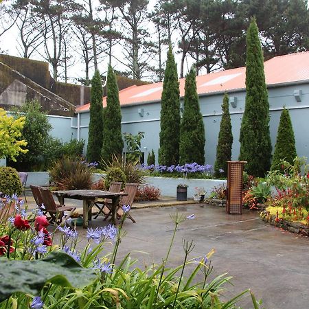 Punehu Stream Cottage Opunake Zewnętrze zdjęcie
